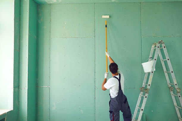 Cricket, NC Mold Removal Company