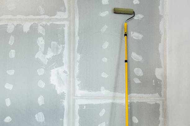 Best Mold Remediation for Healthcare Facilities  in Cricket, NC