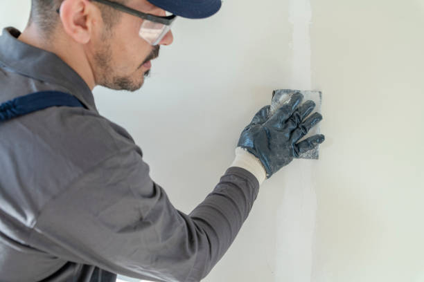 Best Real Estate Mold Inspection  in Cricket, NC