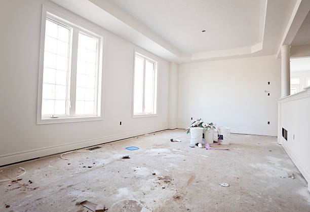 Best Industrial Mold Remediation  in Cricket, NC