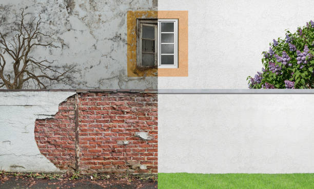 Best Commercial Mold Inspection  in Cricket, NC